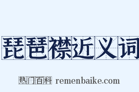 琵琶襟近义词是什么意思的图片
